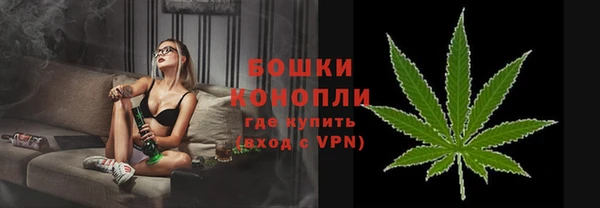 соль ск Снежногорск