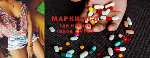 ГАЛЛЮЦИНОГЕННЫЕ ГРИБЫ Слюдянка