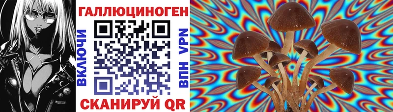 Галлюциногенные грибы мухоморы Купить где Опочка